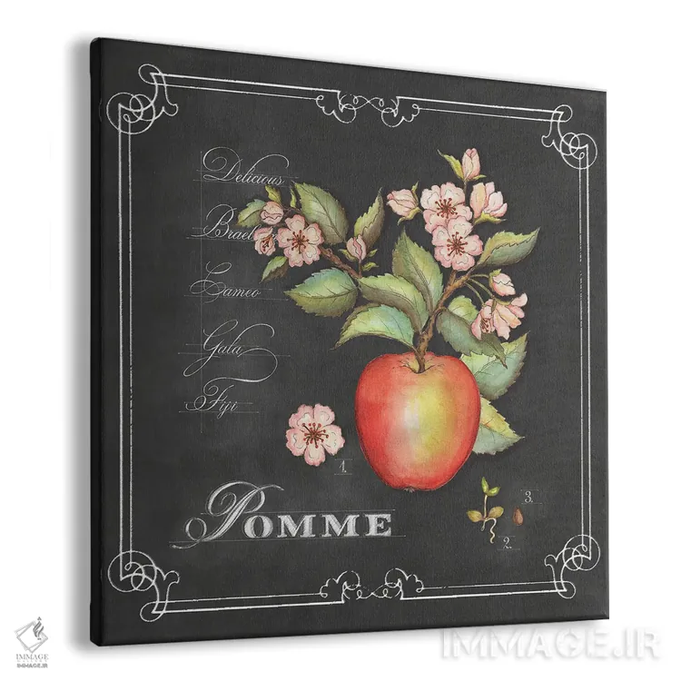 تابلو دکوراتیو سیب اثر جکی ون توبل - نمای پرسپکتیو محصول