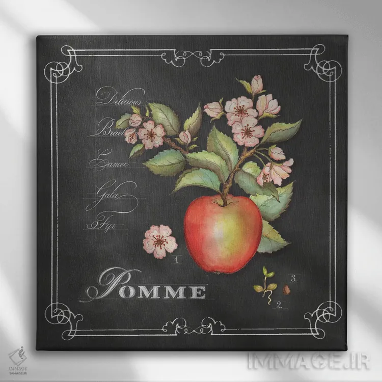 تابلو دکوراتیو سیب اثر جکی ون توبل - نمای روبهرو روی دیوار