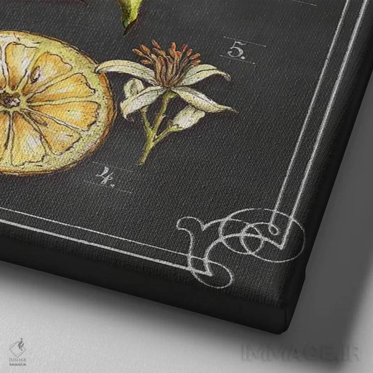 تابلو دکوراتیو لیمو اثر جکی ون توبل - نمای نزدیک بافت بوم