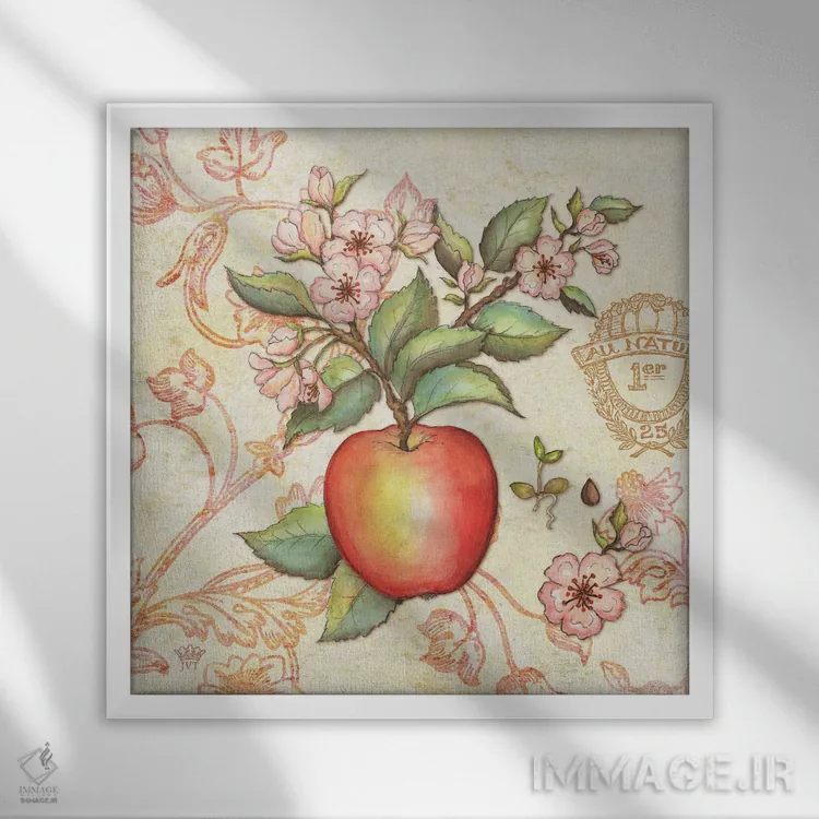 تابلو دکوراتیو سیب بازار کشاورزان اثر جکی ون توبل - نمای قابدار سفید