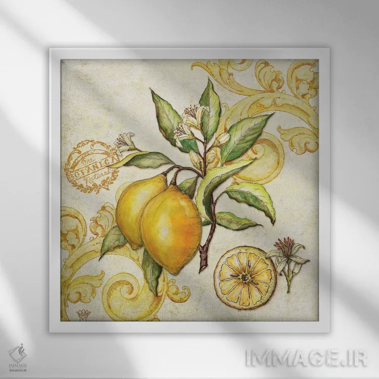 تابلو دکوراتیو لیمو بازار کشاورزان اثر جکی ون توبل - نمای قابدار سفید