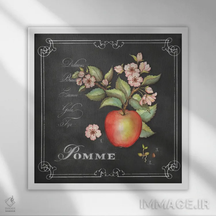 تابلو دکوراتیو سیب اثر جکی ون توبل - نمای قابدار سفید