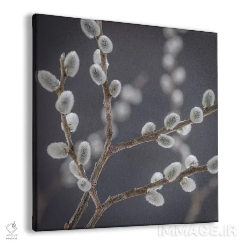 تابلو دکوراتیو آمریکا، ایالت واشنگتن، سی بک. شاخه های بیدک III اثر جینز گالری - نمای پرسپکتیو محصول