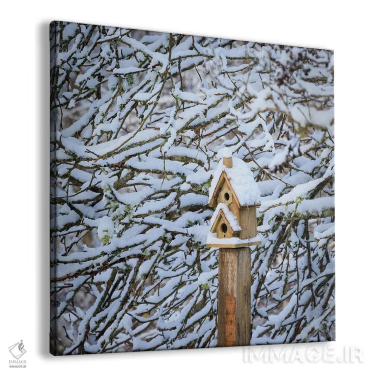 تابلو دکوراتیو Washington State, Seabeck Snow-Covered Bird House And Tree L… اثر جینز گالری - نمای پرسپکتیو محصول