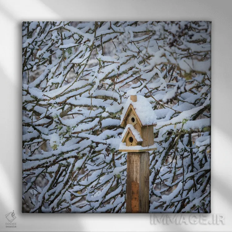 تابلو دکوراتیو Washington State, Seabeck Snow-Covered Bird House And Tree L… اثر جینز گالری - نمای روبهرو روی دیوار
