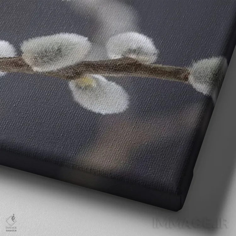 تابلو دکوراتیو آمریکا، ایالت واشنگتن، سی بک. شاخه های بیدک III اثر جینز گالری - نمای نزدیک بافت بوم