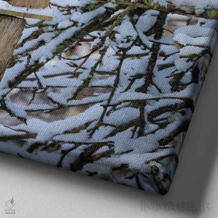 تابلو دکوراتیو Washington State, Seabeck Snow-Covered Bird House And Tree L… اثر جینز گالری - نمای نزدیک بافت بوم