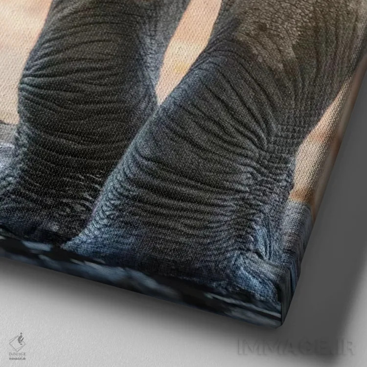 تابلو دکوراتیو Botswana, Senyati Safari Camp. Elephant feet and trunk close… اثر جینز گالری - نمای نزدیک بافت بوم