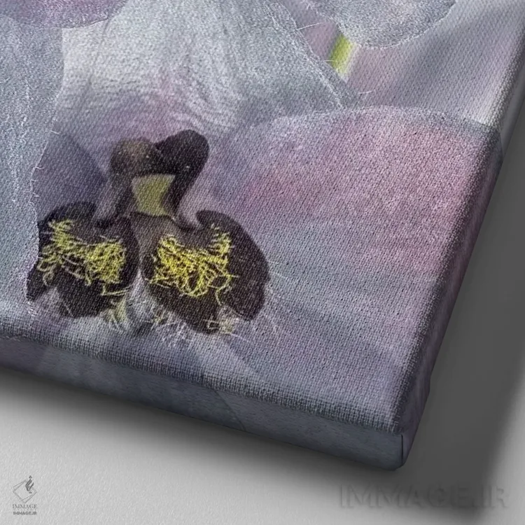 تابلو دکوراتیو Washington State, Seabeck. Delphinium blossoms close-up.,ایا… اثر جینز گالری - نمای نزدیک بافت بوم