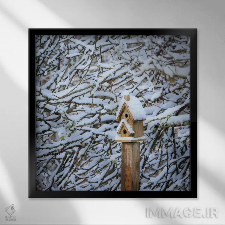 تابلو دکوراتیو Washington State, Seabeck Snow-Covered Bird House And Tree L… اثر جینز گالری - نمای قابدار مشکی