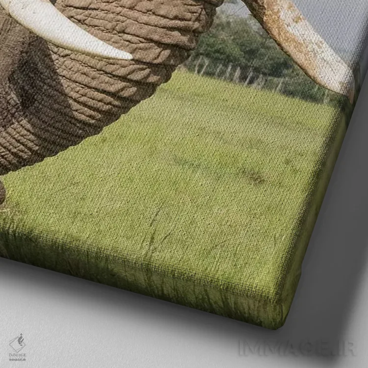 تابلو دکوراتیو Kenya, Maasai Mara National Reserve. Elephant close-up.,آفری… اثر جینز گالری - نمای نزدیک بافت بوم