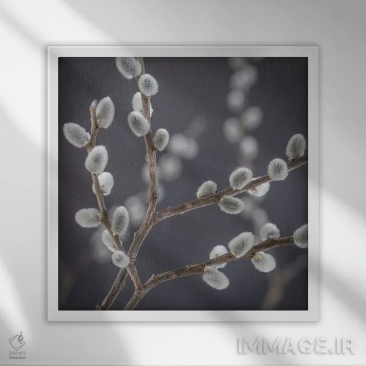 تابلو دکوراتیو آمریکا، ایالت واشنگتن، سی بک. شاخه های بیدک III اثر جینز گالری - نمای قابدار سفید