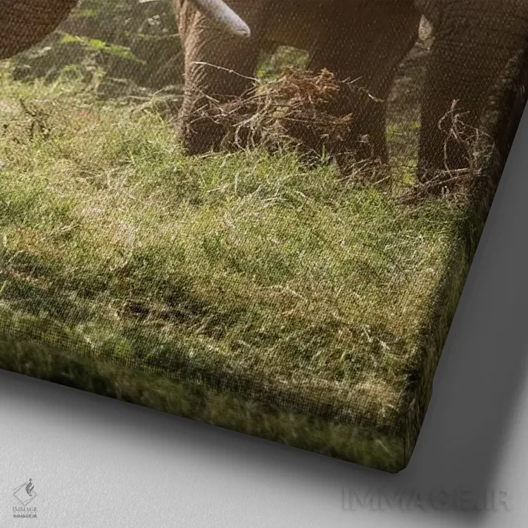 تابلو دکوراتیو Kenya. African elephants feeding.,آفریقا، کنیا. تغذیه فیل ها… اثر جینز گالری - نمای نزدیک بافت بوم