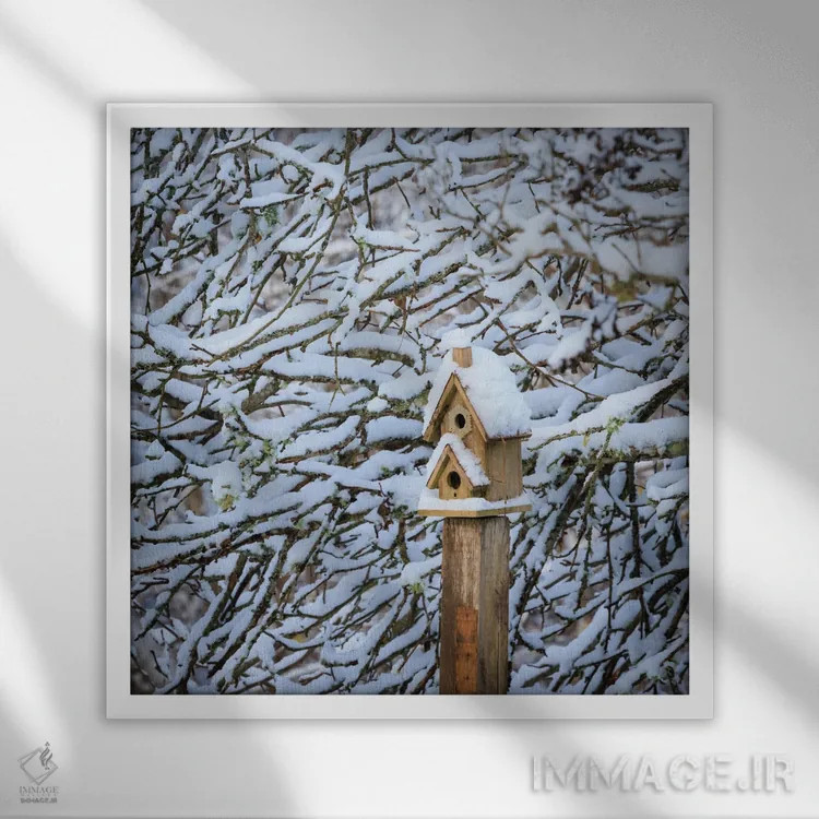 تابلو دکوراتیو Washington State, Seabeck Snow-Covered Bird House And Tree L… اثر جینز گالری - نمای قابدار سفید