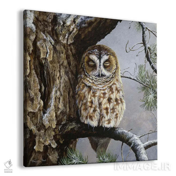 تابلو دکوراتیو نیمه خواب اثر جرمی پاول - نمای پرسپکتیو محصول