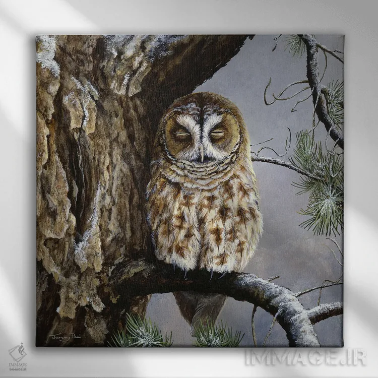 تابلو دکوراتیو نیمه خواب اثر جرمی پاول - نمای روبهرو روی دیوار