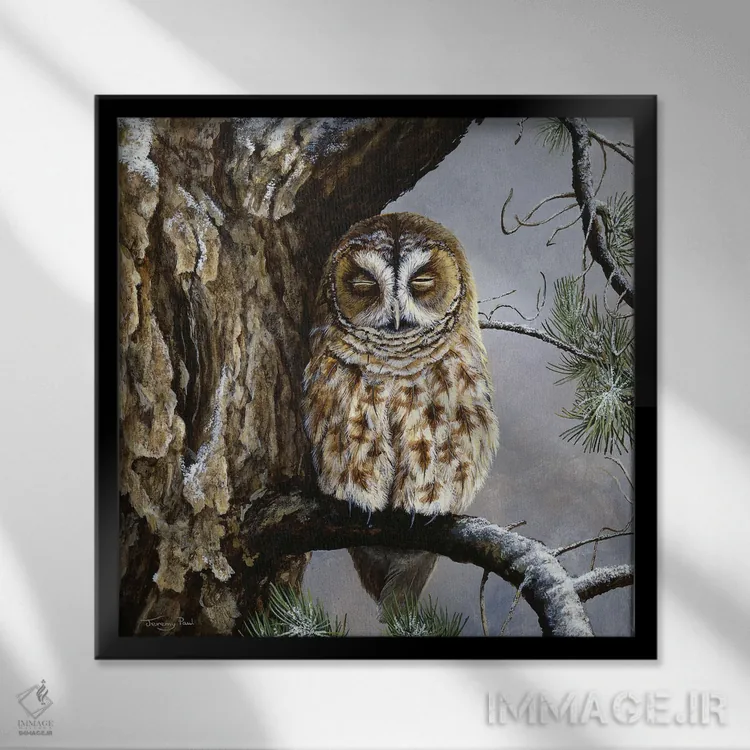 تابلو دکوراتیو نیمه خواب اثر جرمی پاول - نمای قابدار مشکی