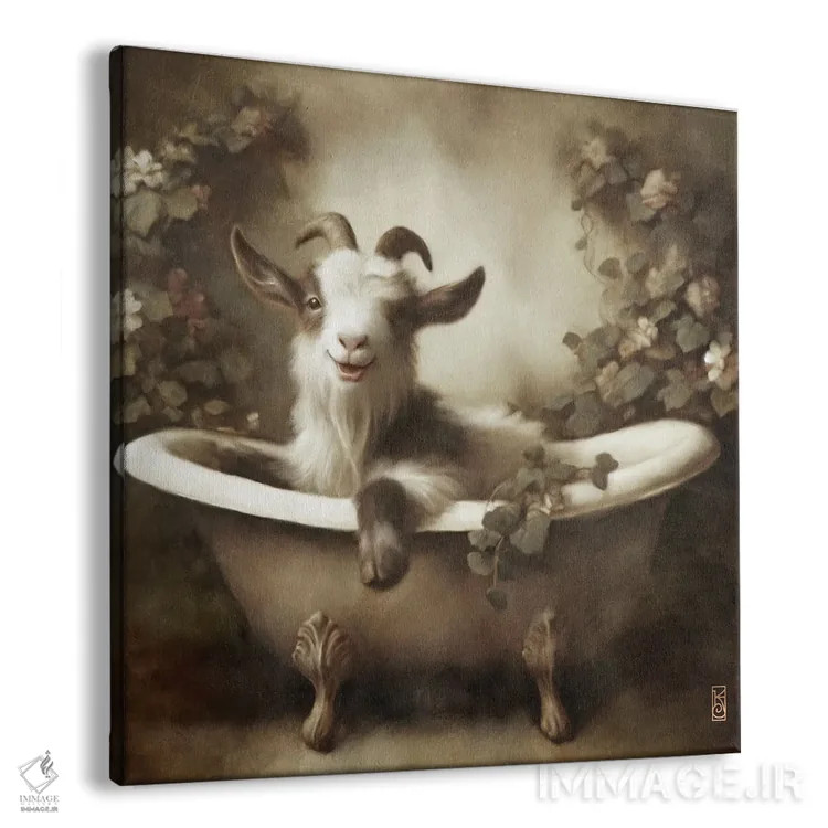 تابلو دکوراتیو بز زیبای در حال حمام اثر کاترینا جونز - نمای پرسپکتیو محصول