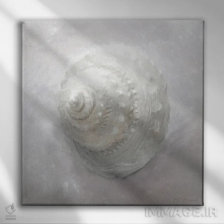تابلو دکوراتیو مجموعه شکوفایی صدف ۱ اثر کاترینا جونز - نمای روبهرو روی دیوار
