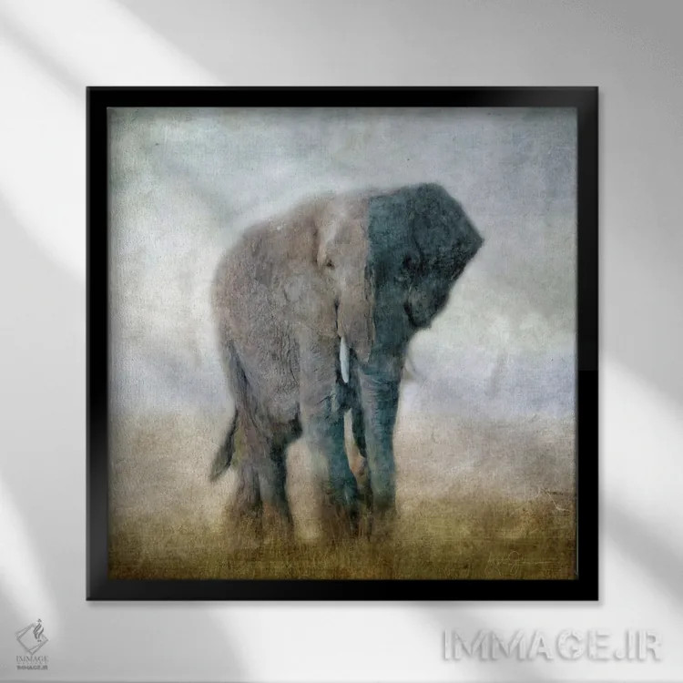 تابلو دکوراتیو فیل مجموعه سرنگتی اثر کاترینا جونز - نمای قابدار مشکی