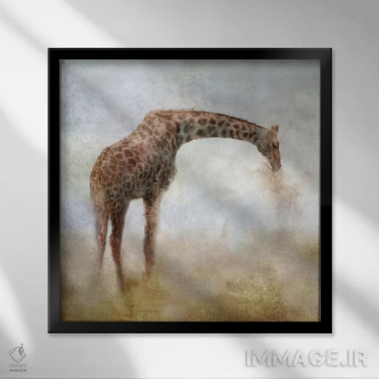تابلو دکوراتیو زرافه مجموعه سرنگتی اثر کاترینا جونز - نمای قابدار مشکی