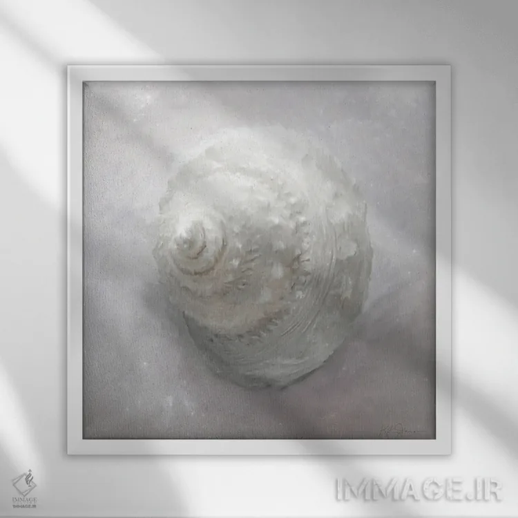تابلو دکوراتیو مجموعه شکوفایی صدف ۱ اثر کاترینا جونز - نمای قابدار سفید