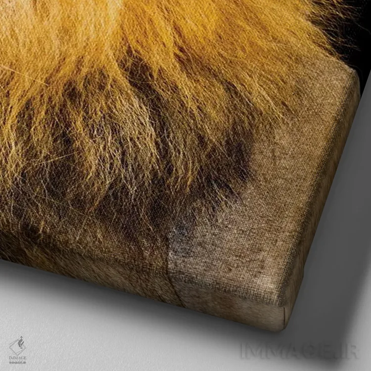 تابلو دکوراتیو نترس III نسخه دوم اثر کیمبرلی آلن - نمای نزدیک بافت بوم