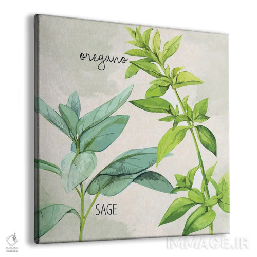 تابلو دکوراتیو سبزی های تازه III اثر کیمبرلی آلن - نمای پرسپکتیو محصول