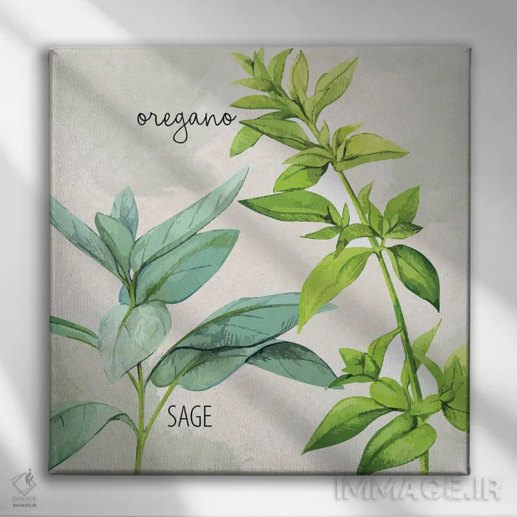 تابلو دکوراتیو سبزی های تازه III اثر کیمبرلی آلن - نمای روبهرو روی دیوار