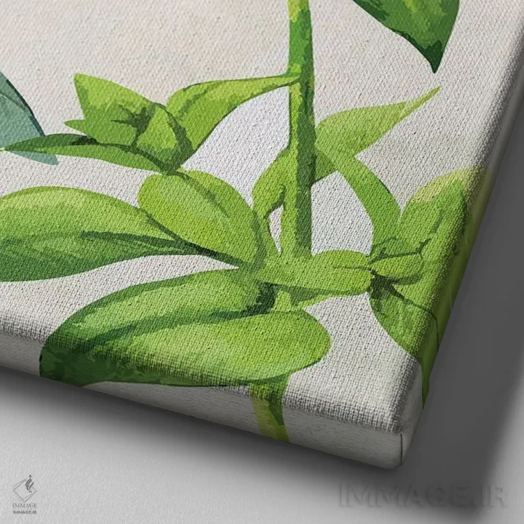 تابلو دکوراتیو سبزی های تازه III اثر کیمبرلی آلن - نمای نزدیک بافت بوم