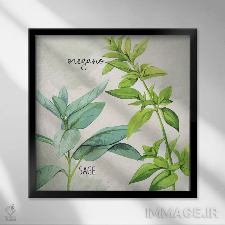 تابلو دکوراتیو سبزی های تازه III اثر کیمبرلی آلن - نمای قابدار مشکی