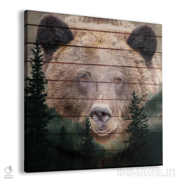 تابلو دکوراتیو خیره شدن اثر کیمبرلی آلن - نمای پرسپکتیو محصول