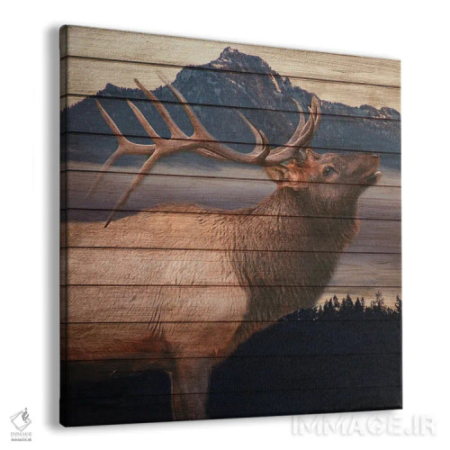 تابلو دکوراتیو پادشاه اثر کیمبرلی آلن - نمای پرسپکتیو محصول