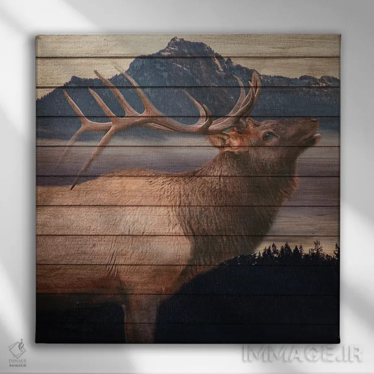 تابلو دکوراتیو پادشاه اثر کیمبرلی آلن - نمای روبهرو روی دیوار