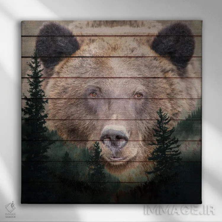 تابلو دکوراتیو خیره شدن اثر کیمبرلی آلن - نمای روبهرو روی دیوار