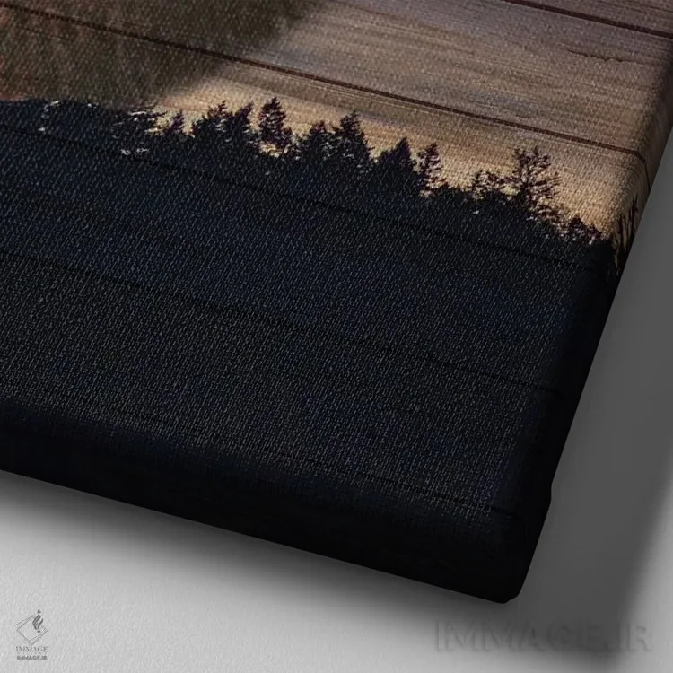 تابلو دکوراتیو پادشاه اثر کیمبرلی آلن - نمای نزدیک بافت بوم