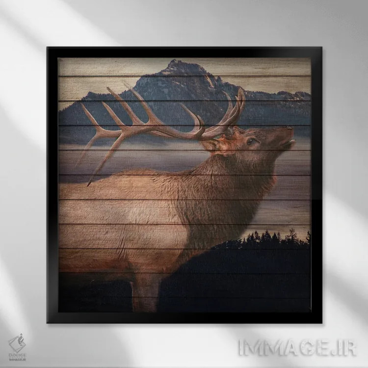 تابلو دکوراتیو پادشاه اثر کیمبرلی آلن - نمای قابدار مشکی