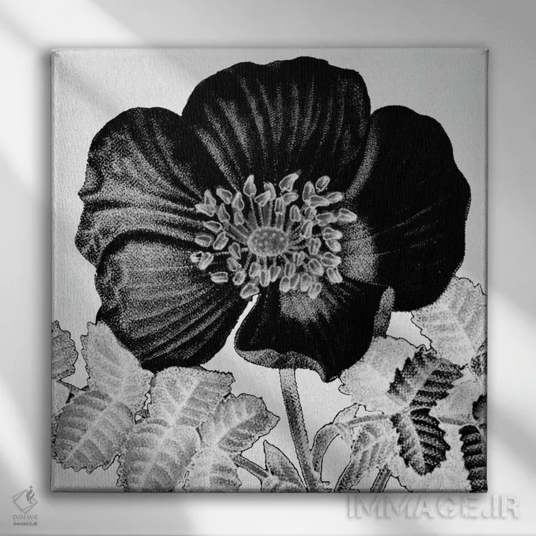 تابلو مدرن شکوفه سیاه و سفید اثر کیمبرلی آلن - نمای روبهرو روی دیوار