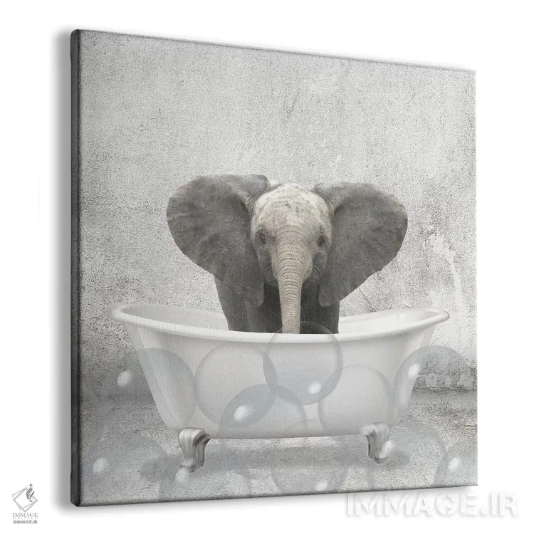 تابلو دکوراتیو حمام فیل کوچولو اثر کیمبرلی آلن - نمای پرسپکتیو محصول