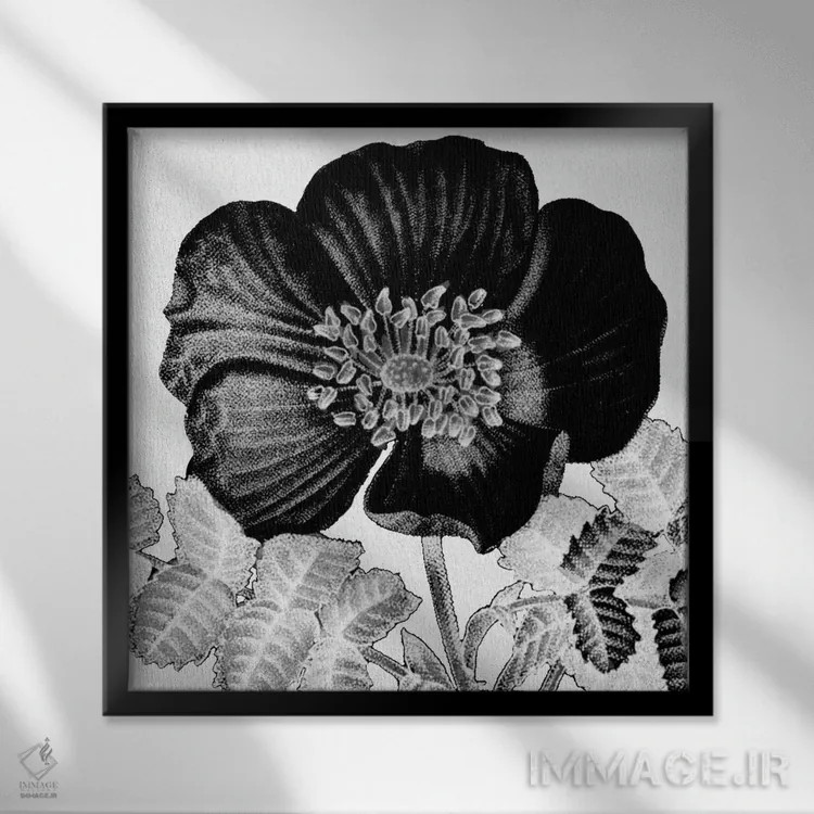 تابلو مدرن شکوفه سیاه و سفید اثر کیمبرلی آلن - نمای قابدار مشکی