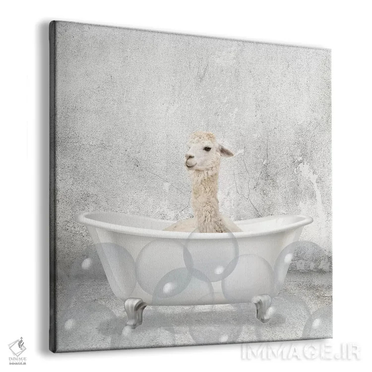 تابلو دکوراتیو حمام لامای کوچولو اثر کیمبرلی آلن - نمای پرسپکتیو محصول