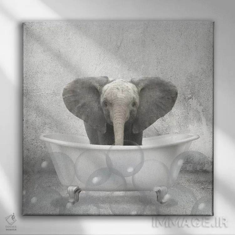تابلو دکوراتیو حمام فیل کوچولو اثر کیمبرلی آلن - نمای روبهرو روی دیوار