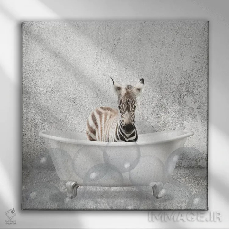 تابلو دکوراتیو حمام گورخر کوچولو اثر کیمبرلی آلن - نمای روبهرو روی دیوار