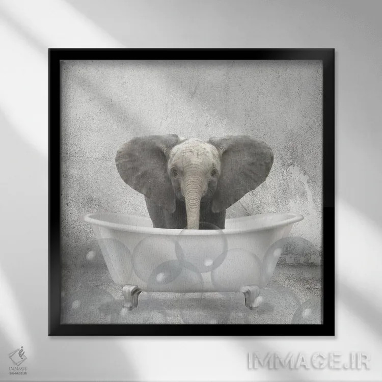 تابلو دکوراتیو حمام فیل کوچولو اثر کیمبرلی آلن - نمای قابدار مشکی