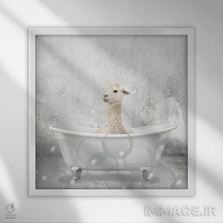 تابلو دکوراتیو حمام لامای کوچولو اثر کیمبرلی آلن - نمای قابدار سفید