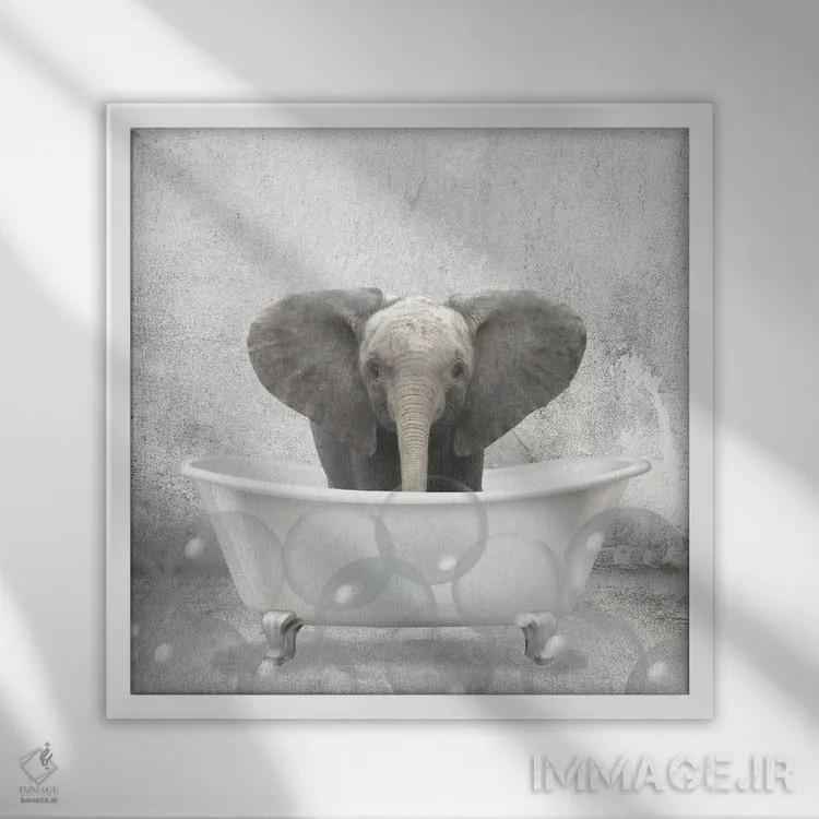 تابلو دکوراتیو حمام فیل کوچولو اثر کیمبرلی آلن - نمای قابدار سفید