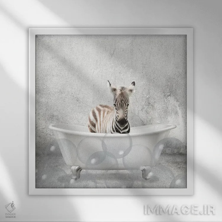 تابلو دکوراتیو حمام گورخر کوچولو اثر کیمبرلی آلن - نمای قابدار سفید