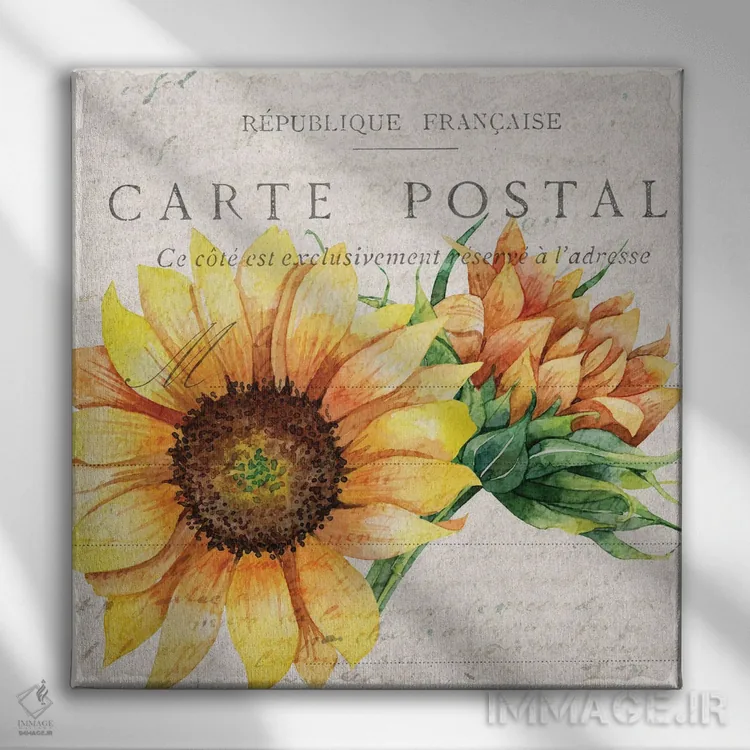 تابلو دکوراتیو کارت پستال آفتابگردان I اثر کیمبرلی آلن - نمای روبهرو روی دیوار