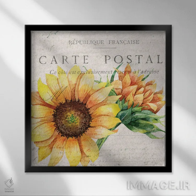 تابلو دکوراتیو کارت پستال آفتابگردان I اثر کیمبرلی آلن - نمای قابدار مشکی