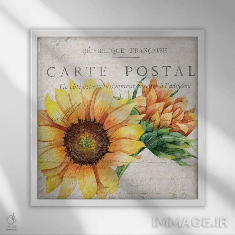 تابلو دکوراتیو کارت پستال آفتابگردان I اثر کیمبرلی آلن - نمای قابدار سفید